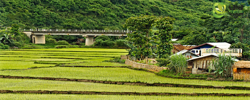 Vieng Thong